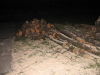 nphoto20060108-17:22:56-0004