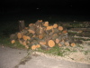 nphoto20060108-17:23:10-0005