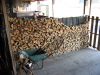 nphoto20060109-12:34:44-0007