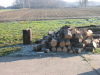 nphoto20060109-12:35:04-0008