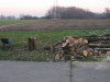 nphoto20060109-16:26:30-0012