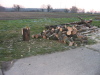 nphoto20060109-16:26:42-0013