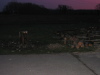 nphoto20060110-17:00:48-0003