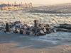 nphoto20060115-09:21:34-0001