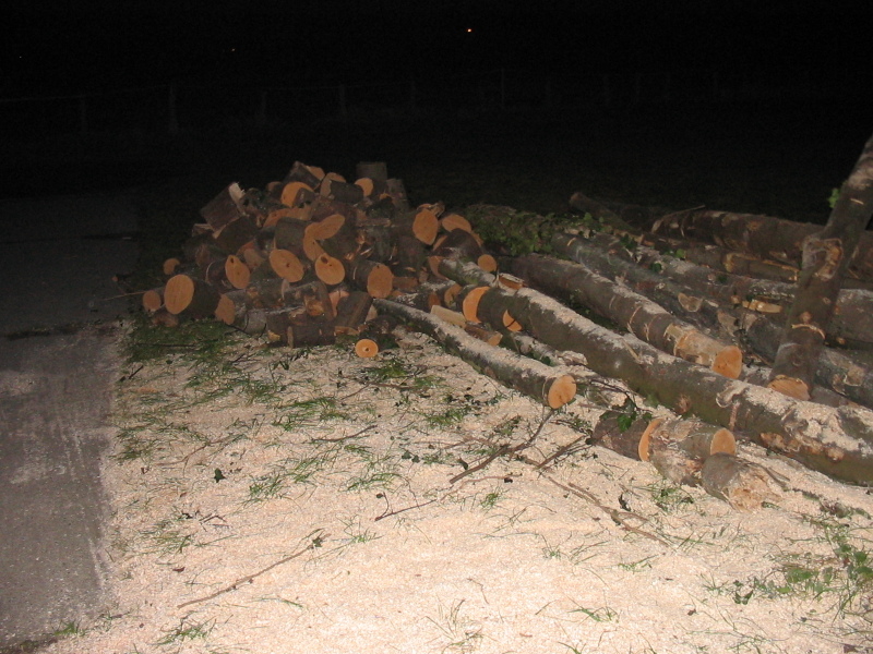 nphoto20060108-17:22:56-0004