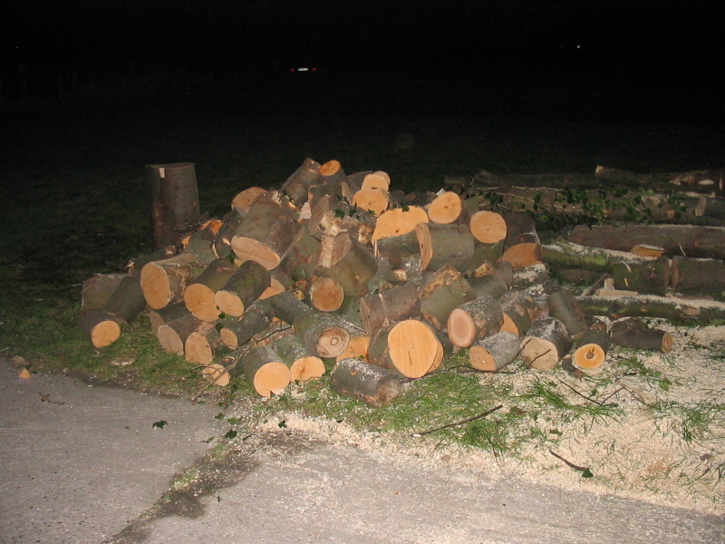 nphoto20060108-17:23:10-0005