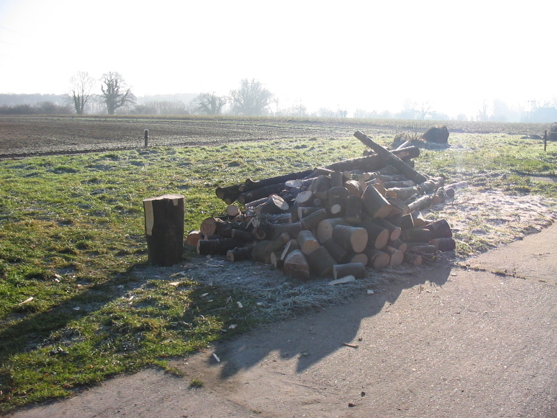 nphoto20060109-12:35:28-0010