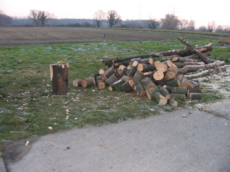 nphoto20060109-16:26:42-0013