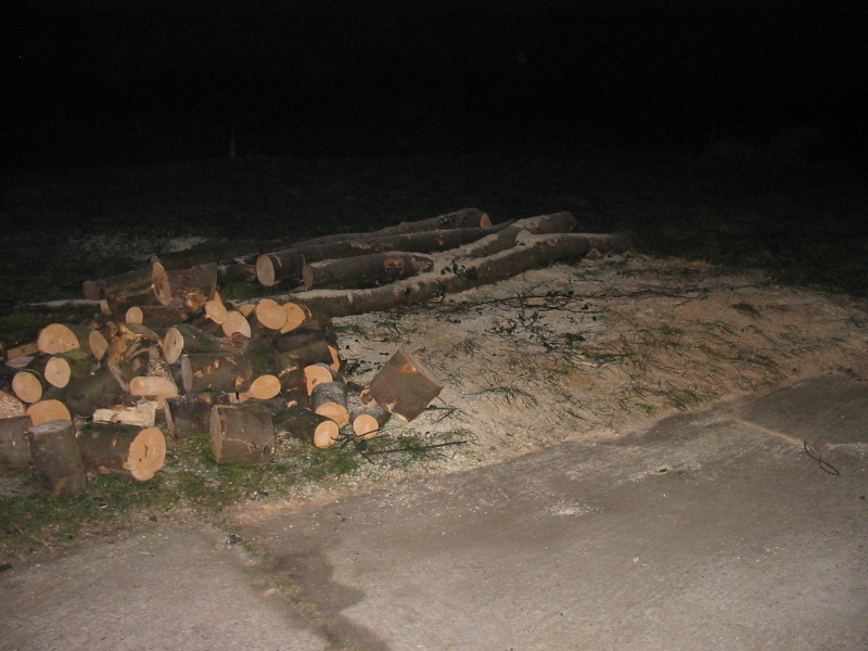 nphoto20060114-17:45:06-0003